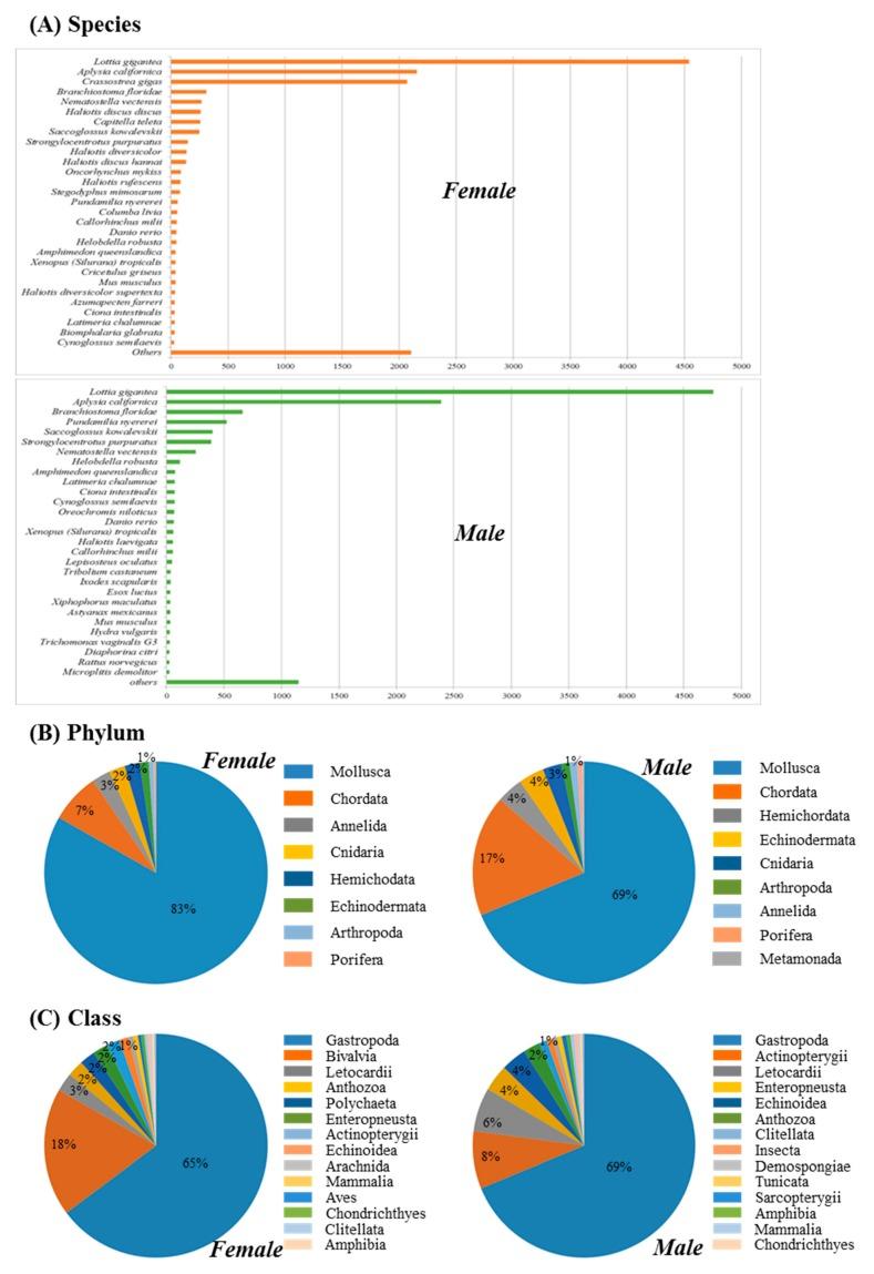 https://cdn.ncbi.nlm.nih.gov/pmc/blobs/985b/5368703/63f1a7523e89/genes-08-00099-g002.jpg
