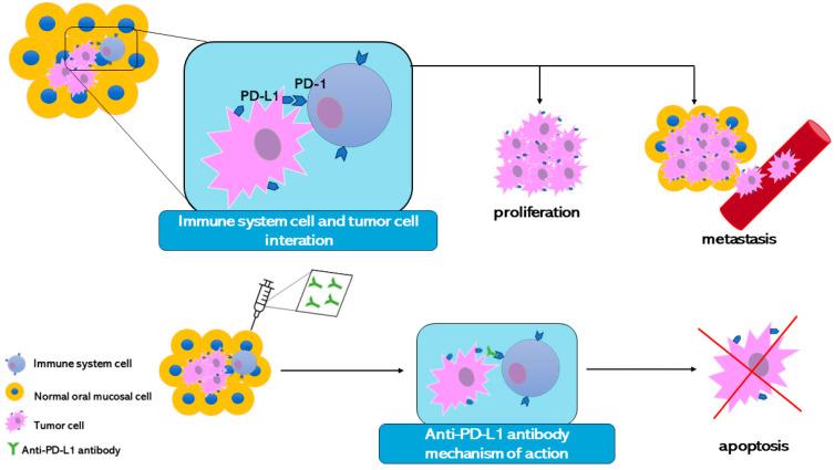 https://cdn.ncbi.nlm.nih.gov/pmc/blobs/985e/10813134/b24e61a47074/bioengineering-11-00065-g004.jpg
