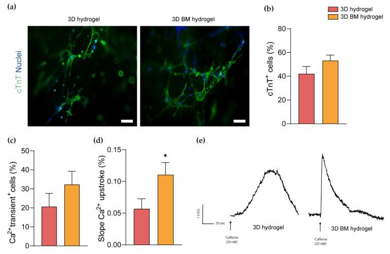 https://cdn.ncbi.nlm.nih.gov/pmc/blobs/9870/8909733/32b3ec83e275/cells-11-00800-g005.jpg