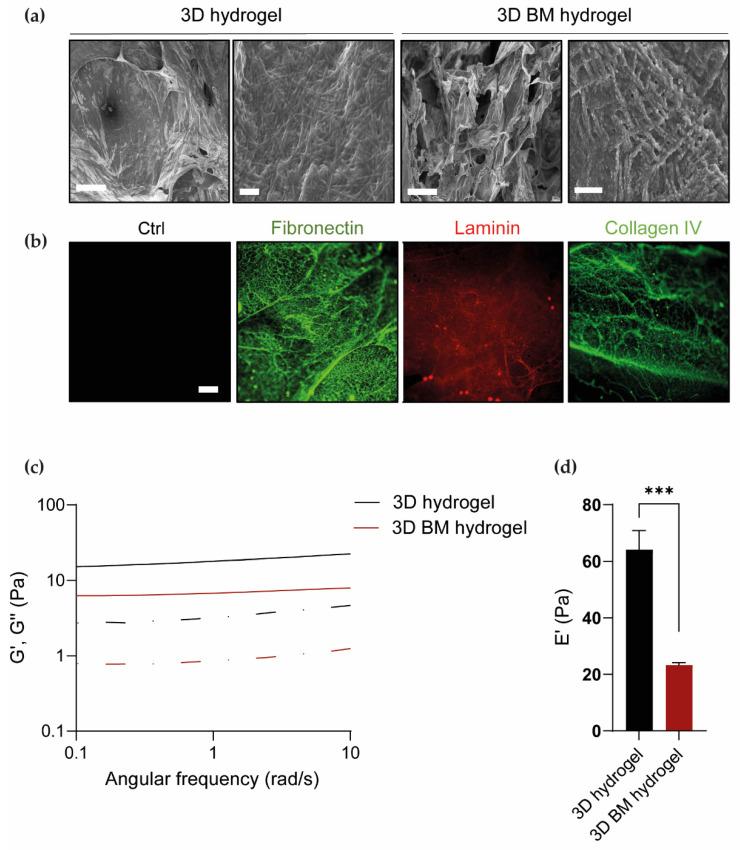 https://cdn.ncbi.nlm.nih.gov/pmc/blobs/9870/8909733/55a2e3d9d03d/cells-11-00800-g003.jpg