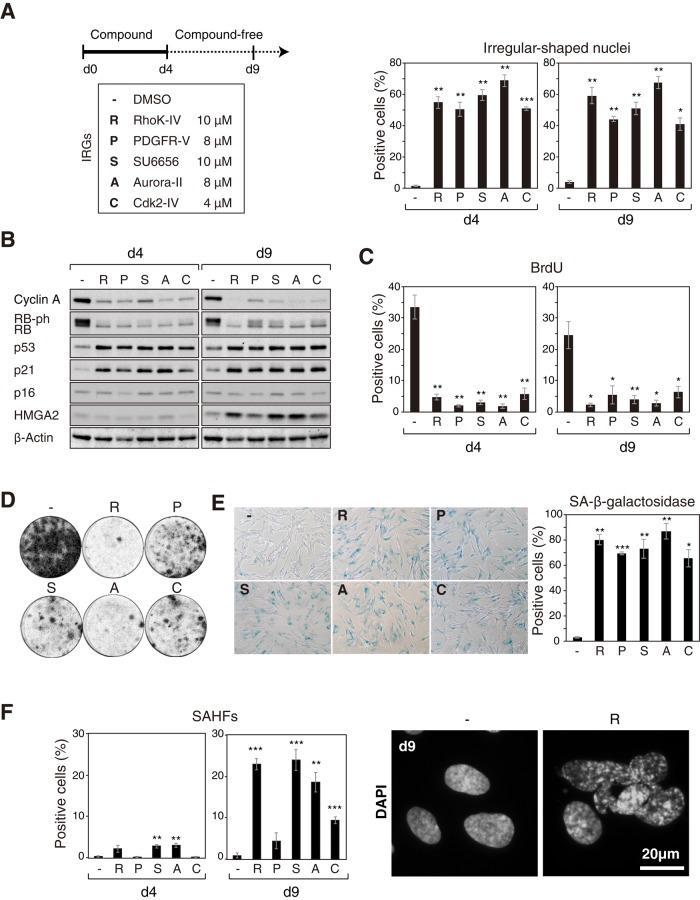 https://cdn.ncbi.nlm.nih.gov/pmc/blobs/9871/4551313/255d7085da51/2971fig2.jpg