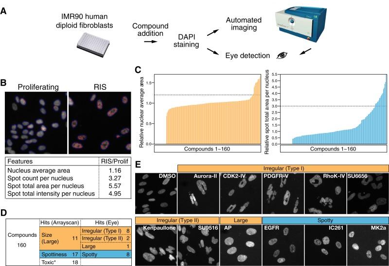 https://cdn.ncbi.nlm.nih.gov/pmc/blobs/9871/4551313/ad3a84a69e77/2971fig1.jpg