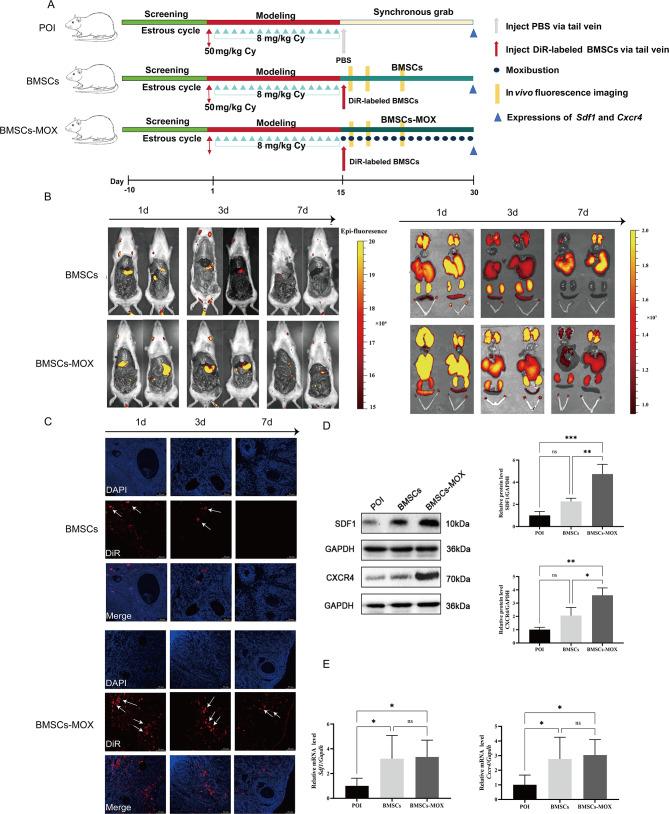 https://cdn.ncbi.nlm.nih.gov/pmc/blobs/987a/11003045/d028910f41cb/13287_2024_3709_Fig4_HTML.jpg