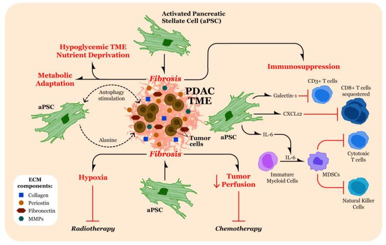 https://cdn.ncbi.nlm.nih.gov/pmc/blobs/9891/8234537/9897c786e195/biomolecules-11-00901-g002.jpg