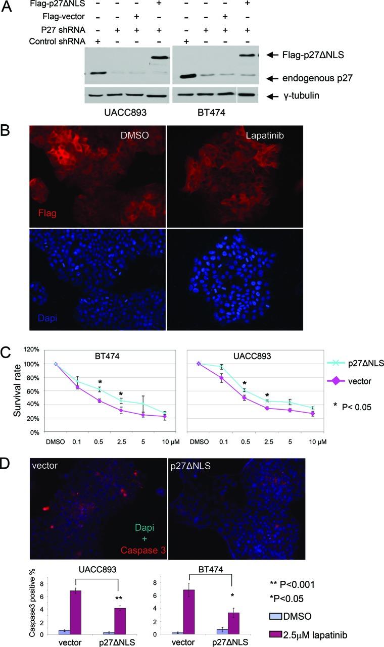 https://cdn.ncbi.nlm.nih.gov/pmc/blobs/98ab/4350358/0de4a3aaa155/oncotarget-05-12704-g005.jpg