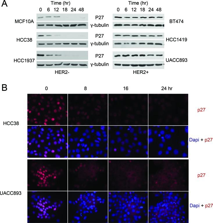 https://cdn.ncbi.nlm.nih.gov/pmc/blobs/98ab/4350358/a87e8d4dddb9/oncotarget-05-12704-g001.jpg