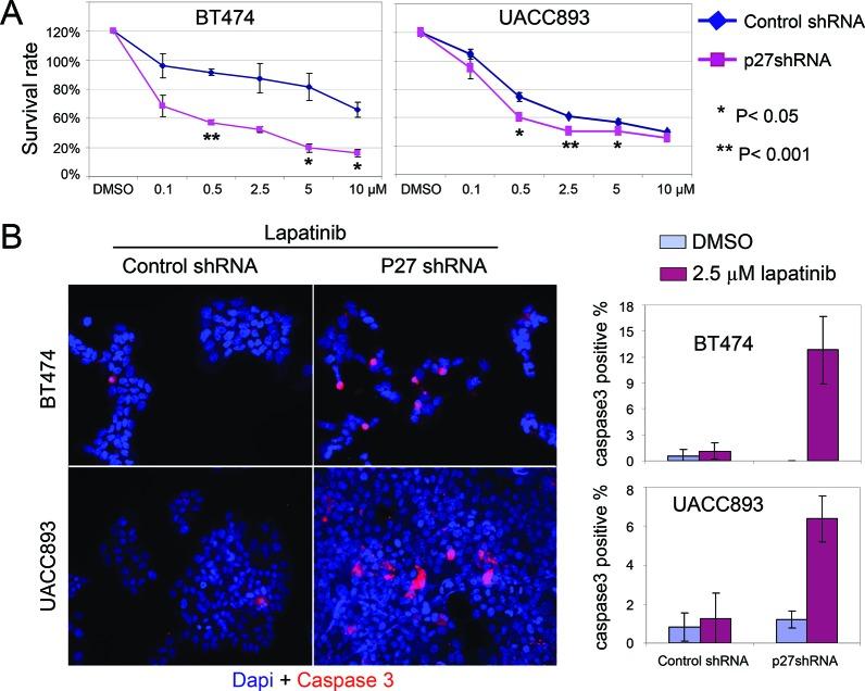 https://cdn.ncbi.nlm.nih.gov/pmc/blobs/98ab/4350358/d78afcb2c19e/oncotarget-05-12704-g004.jpg