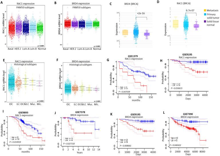 https://cdn.ncbi.nlm.nih.gov/pmc/blobs/98af/8579449/425feb10e1b4/ijbsv17p4474g010.jpg