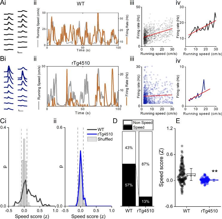 https://cdn.ncbi.nlm.nih.gov/pmc/blobs/98bd/7690954/6b649836213e/elife-59045-fig4.jpg