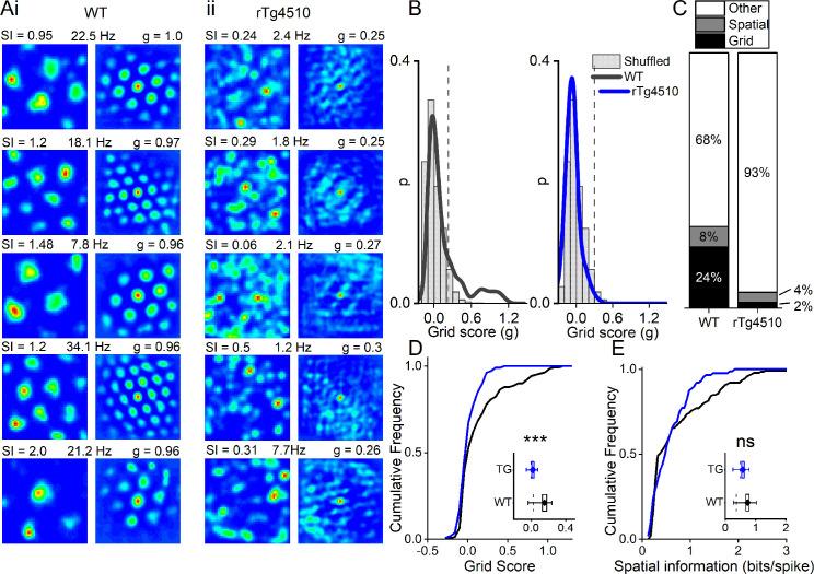https://cdn.ncbi.nlm.nih.gov/pmc/blobs/98bd/7690954/a1419ebfdd43/elife-59045-fig3.jpg