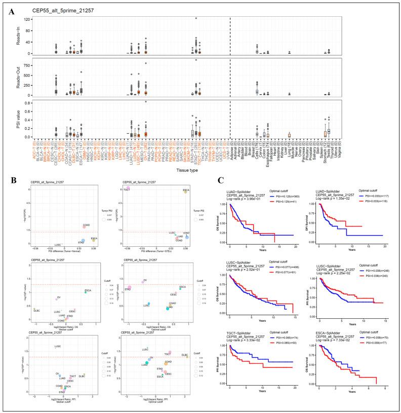 https://cdn.ncbi.nlm.nih.gov/pmc/blobs/98c7/10605621/b72b5c4801c7/cells-12-02457-g005.jpg
