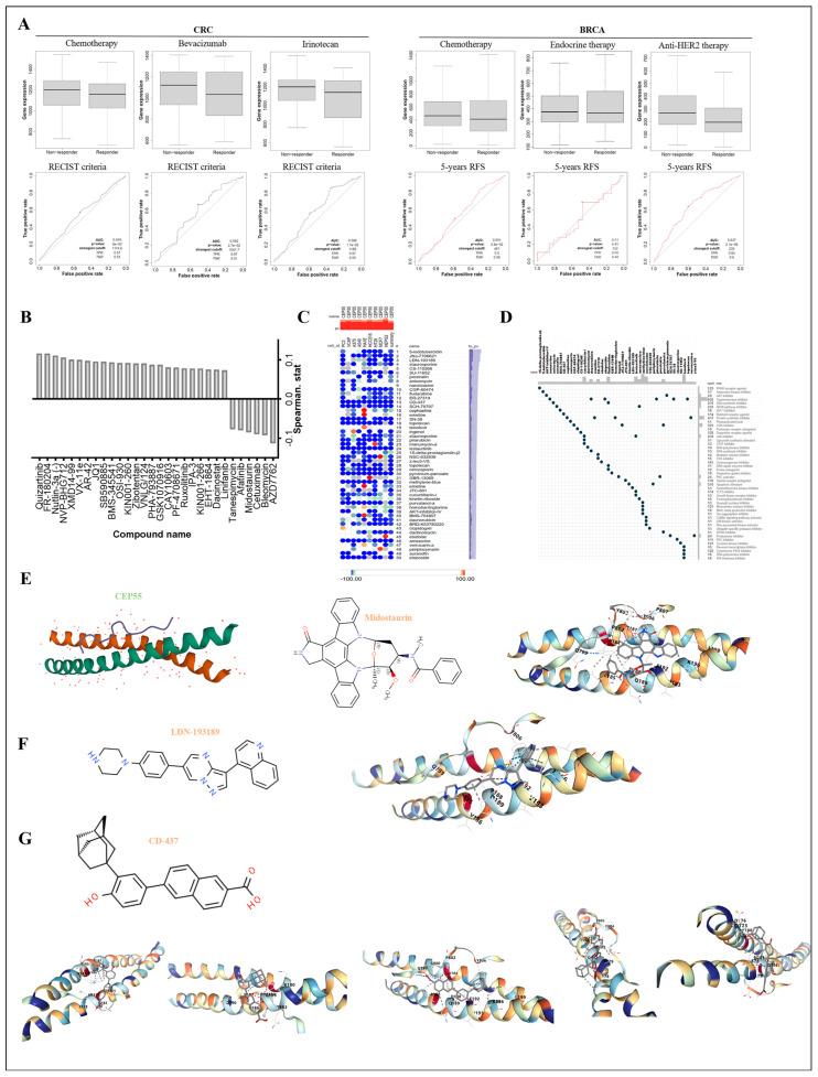https://cdn.ncbi.nlm.nih.gov/pmc/blobs/98c7/10605621/fd24e70403b3/cells-12-02457-g010.jpg