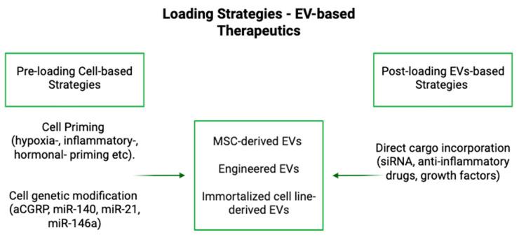 https://cdn.ncbi.nlm.nih.gov/pmc/blobs/98cf/12109516/f23be559a1ce/bioengineering-12-00525-g001.jpg