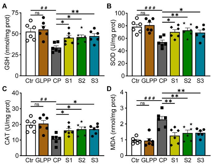 https://cdn.ncbi.nlm.nih.gov/pmc/blobs/98d3/11351902/3539cbdea69a/biomedicines-12-01632-g006.jpg