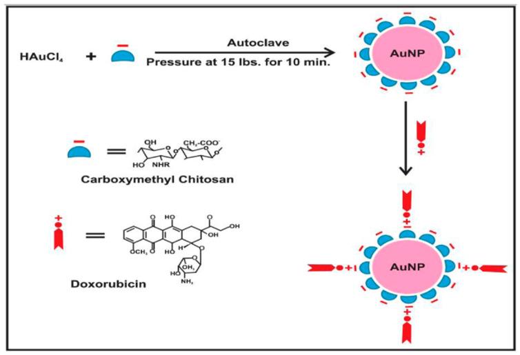 https://cdn.ncbi.nlm.nih.gov/pmc/blobs/98e8/11124311/6b80ef73d96e/molecules-29-02393-g005.jpg