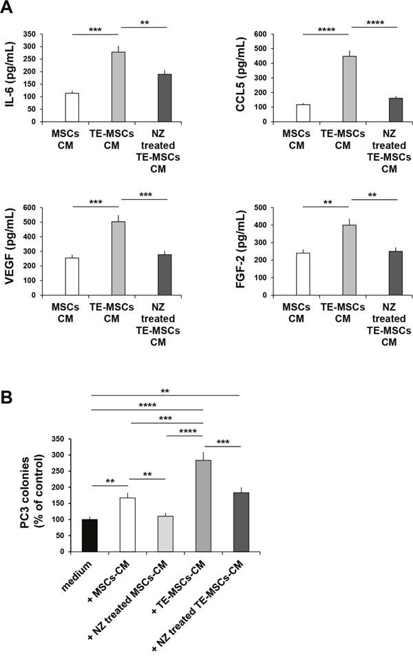 https://cdn.ncbi.nlm.nih.gov/pmc/blobs/98e9/5522116/5229048189a8/oncotarget-08-42926-g006.jpg