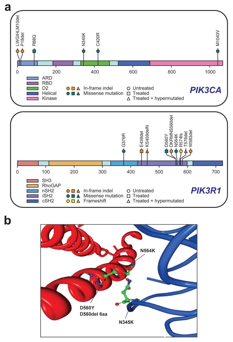 https://cdn.ncbi.nlm.nih.gov/pmc/blobs/98ed/2671642/388a66af9408/nihms68048f3.jpg