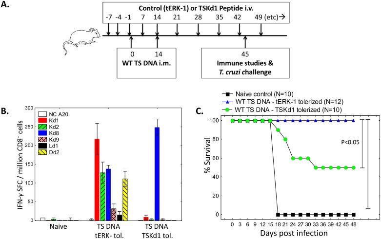 https://cdn.ncbi.nlm.nih.gov/pmc/blobs/9903/5028030/c610f2c58a89/ppat.1005896.g005.jpg