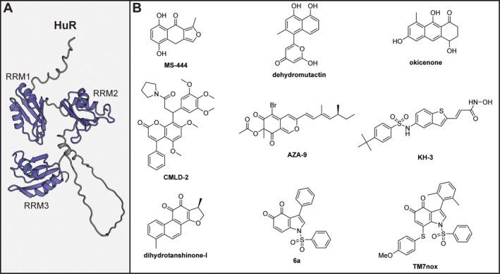 https://cdn.ncbi.nlm.nih.gov/pmc/blobs/9909/11638515/6c9de8abeff0/WRNA-15-e1877-g002.jpg