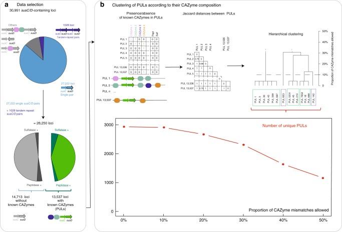 https://cdn.ncbi.nlm.nih.gov/pmc/blobs/9916/6499787/a076fd0823a8/41467_2019_10068_Fig2_HTML.jpg