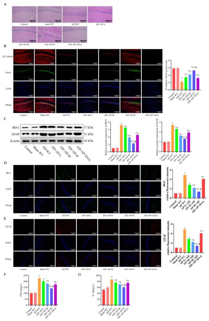 https://cdn.ncbi.nlm.nih.gov/pmc/blobs/991e/12384069/10da637143ed/biomolecules-15-01188-g002.jpg