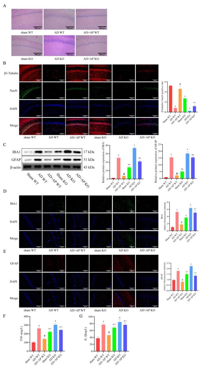 https://cdn.ncbi.nlm.nih.gov/pmc/blobs/991e/12384069/31755006bd95/biomolecules-15-01188-g005.jpg