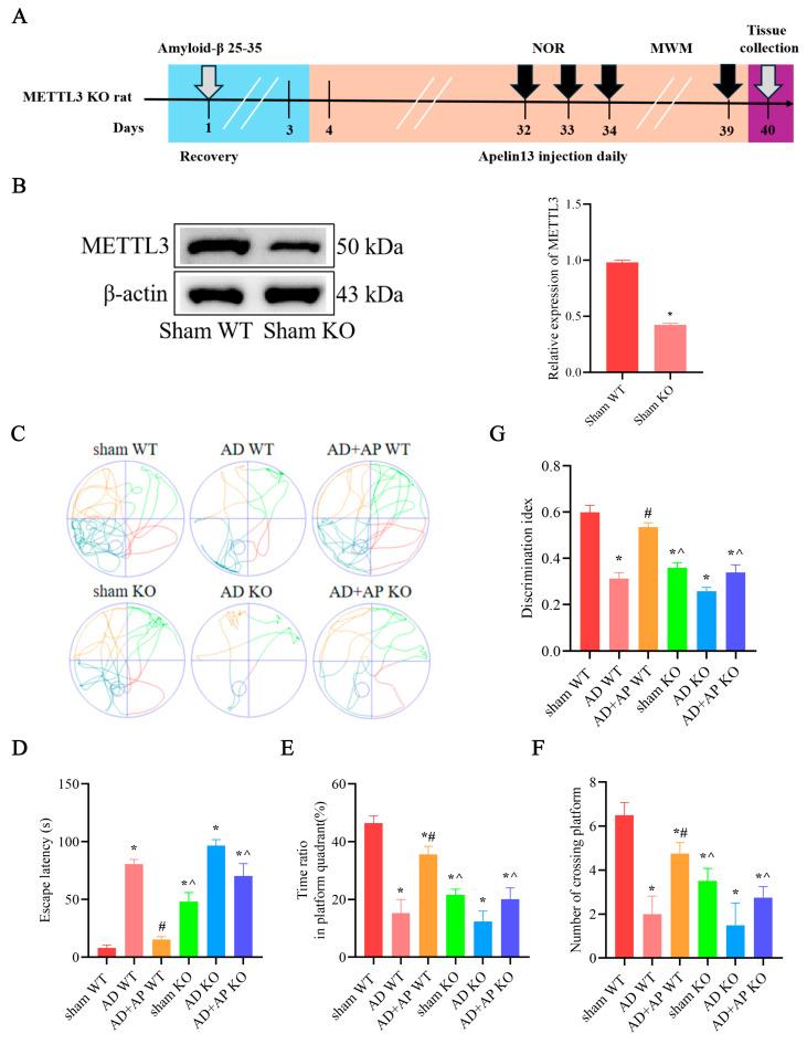 https://cdn.ncbi.nlm.nih.gov/pmc/blobs/991e/12384069/55a8543f3dbc/biomolecules-15-01188-g004.jpg