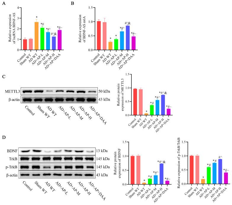 https://cdn.ncbi.nlm.nih.gov/pmc/blobs/991e/12384069/5f3f6d23223e/biomolecules-15-01188-g003.jpg