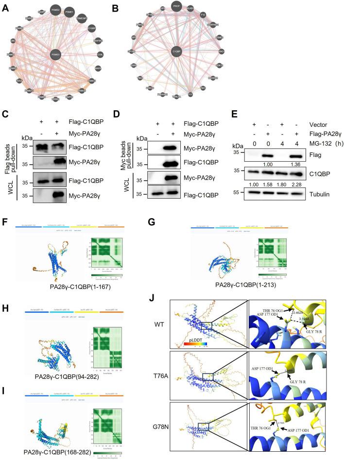 https://cdn.ncbi.nlm.nih.gov/pmc/blobs/9930/12310199/8f8620689a56/elife-101244-fig1-figsupp1.jpg