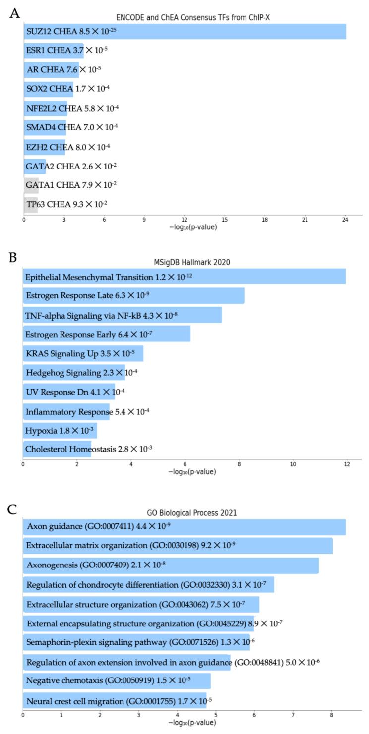https://cdn.ncbi.nlm.nih.gov/pmc/blobs/9934/9032019/573327049916/genes-13-00691-g003.jpg