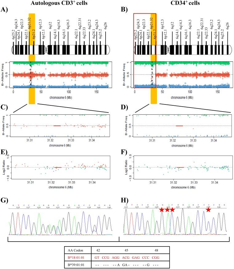 https://cdn.ncbi.nlm.nih.gov/pmc/blobs/993d/6319343/3d4d76e818a1/oncotarget-09-36929-g002.jpg