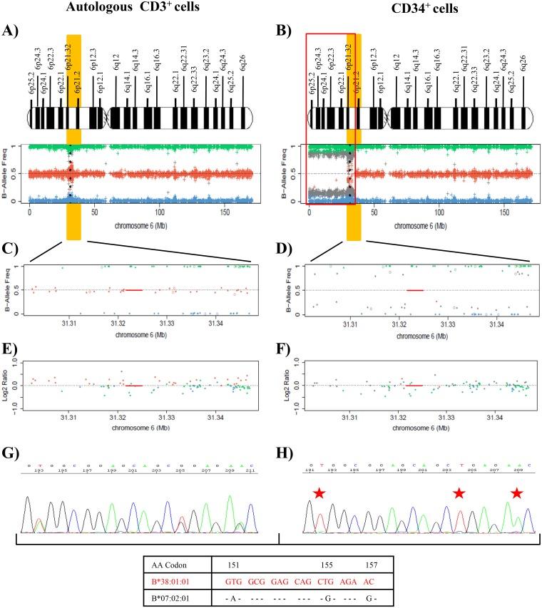 https://cdn.ncbi.nlm.nih.gov/pmc/blobs/993d/6319343/6c833b8e8301/oncotarget-09-36929-g004.jpg