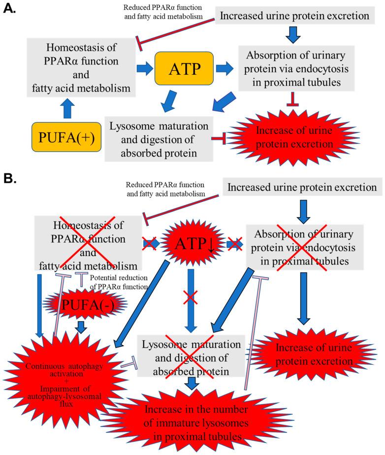 https://cdn.ncbi.nlm.nih.gov/pmc/blobs/994d/11944481/3cb847e30a54/nutrients-17-00961-g010.jpg