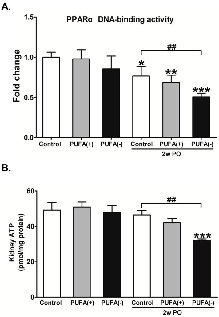 https://cdn.ncbi.nlm.nih.gov/pmc/blobs/994d/11944481/a2f3cc7c177b/nutrients-17-00961-g009.jpg