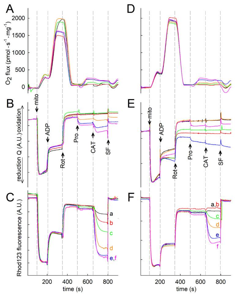 https://cdn.ncbi.nlm.nih.gov/pmc/blobs/9951/9106064/06033ebd55fa/ijms-23-05111-g007.jpg