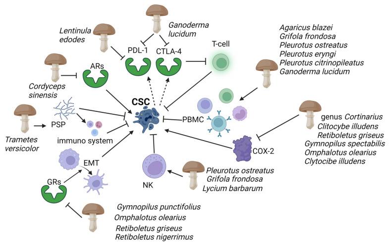 https://cdn.ncbi.nlm.nih.gov/pmc/blobs/9955/10303916/57b9425e88cf/toxins-15-00360-g002.jpg