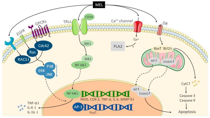 https://cdn.ncbi.nlm.nih.gov/pmc/blobs/995b/7601520/1e005c3b5356/toxins-12-00618-g001.jpg