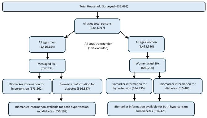 https://cdn.ncbi.nlm.nih.gov/pmc/blobs/9979/12065286/62c2a77482f1/12889_2025_22983_Fig1_HTML.jpg