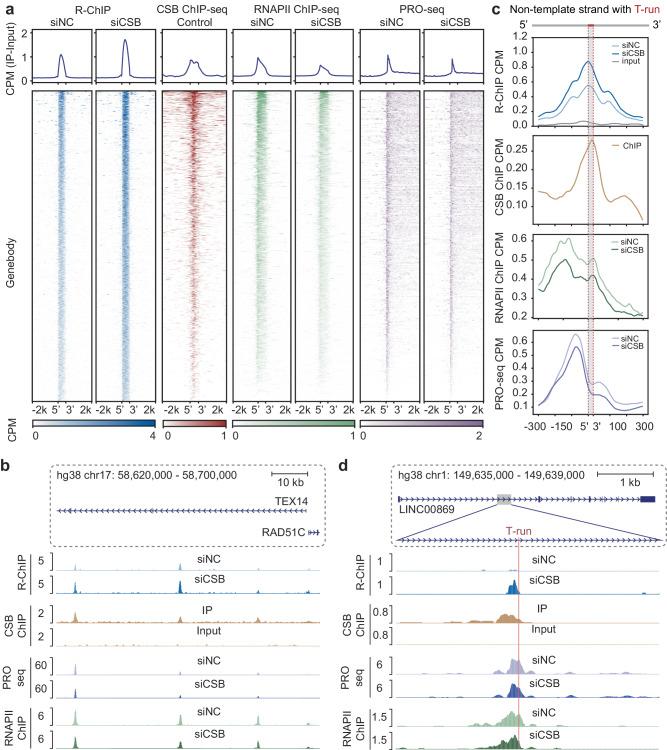 https://cdn.ncbi.nlm.nih.gov/pmc/blobs/998b/11255242/7e70ee89fab9/41467_2024_50298_Fig2_HTML.jpg