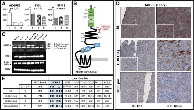 https://cdn.ncbi.nlm.nih.gov/pmc/blobs/998e/6451309/3e4a53fabcf3/12885_2019_5537_Fig5_HTML.jpg
