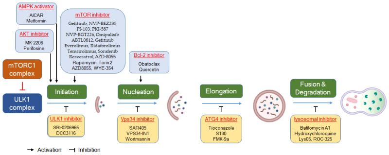 https://cdn.ncbi.nlm.nih.gov/pmc/blobs/99be/11547988/a154b684717c/molecules-29-05134-g002.jpg
