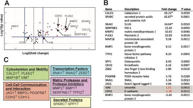 https://cdn.ncbi.nlm.nih.gov/pmc/blobs/99c5/11529244/bfbfc51addcb/12885_2024_13057_Fig6_HTML.jpg
