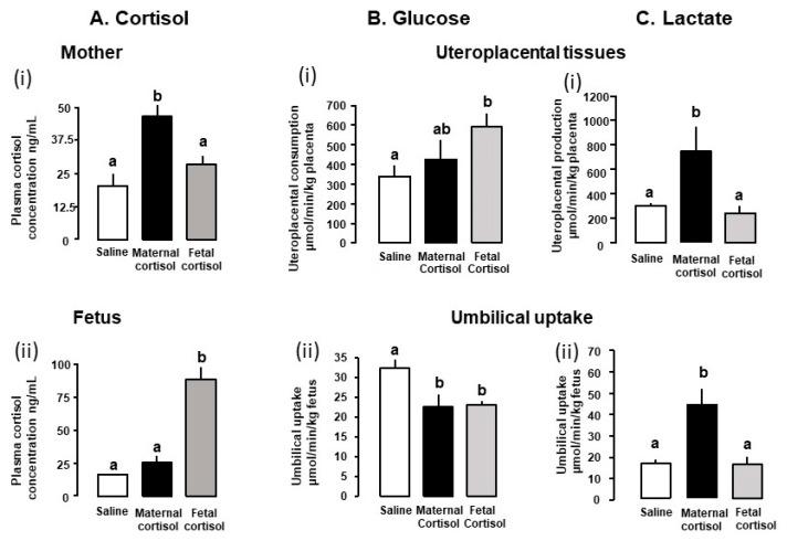 https://cdn.ncbi.nlm.nih.gov/pmc/blobs/99e5/9182938/aa927cef055b/nutrients-14-02304-g002.jpg