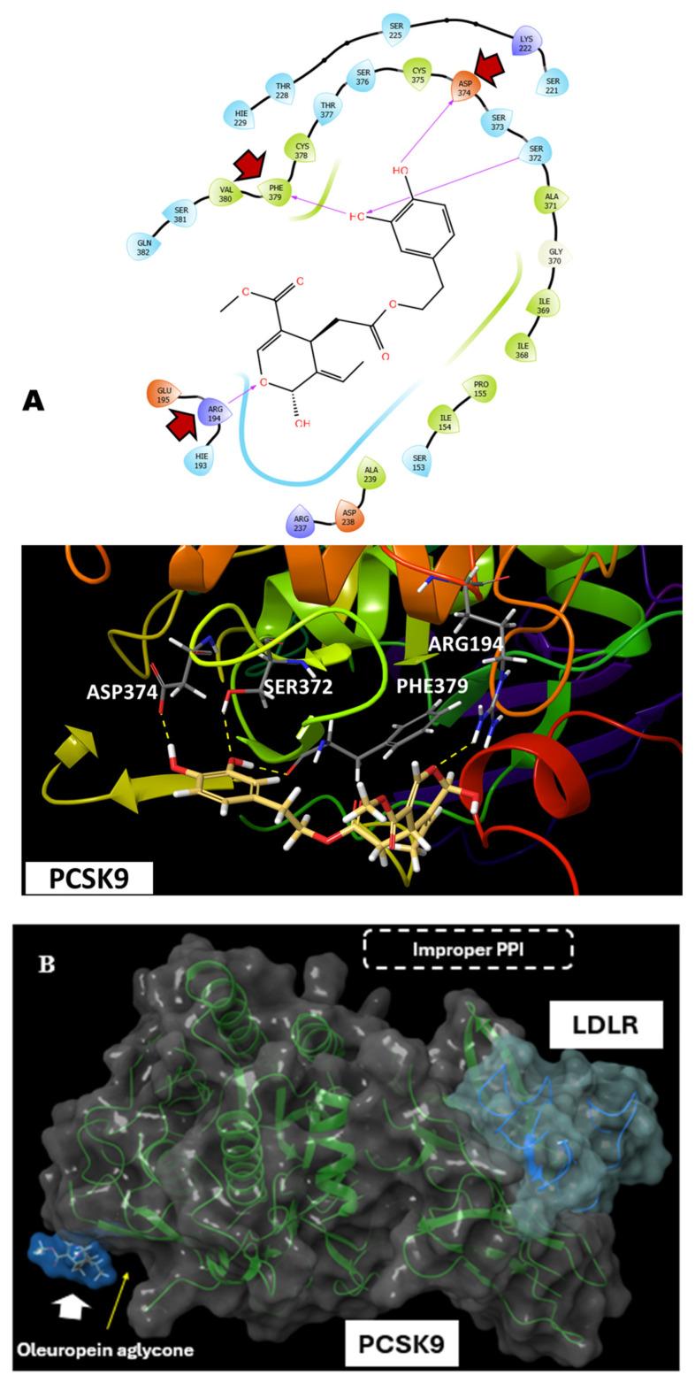 https://cdn.ncbi.nlm.nih.gov/pmc/blobs/99e7/12073333/d848e5efd772/nutrients-17-01445-g004.jpg