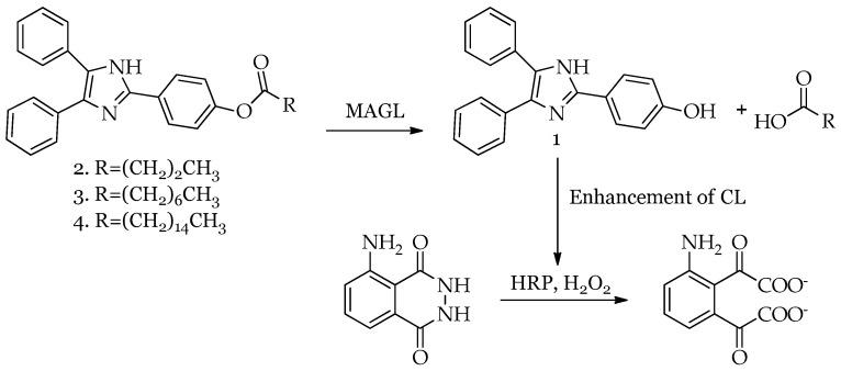 https://cdn.ncbi.nlm.nih.gov/pmc/blobs/99f9/11990452/5f47475df046/molecules-30-01605-g001.jpg