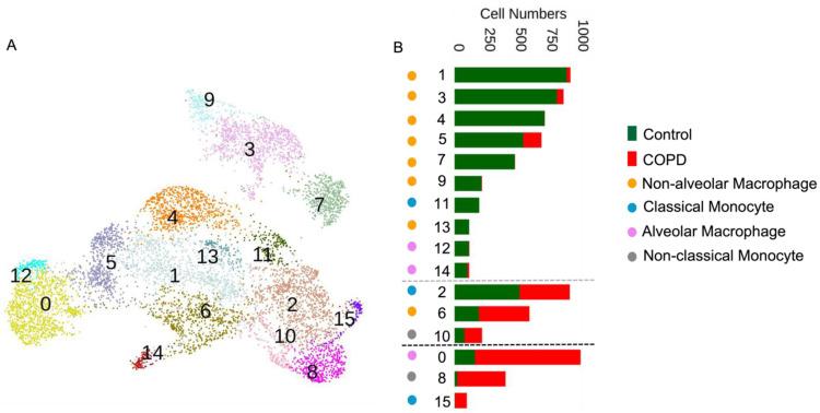 https://cdn.ncbi.nlm.nih.gov/pmc/blobs/99fd/10741950/53b156ddbc6d/cells-12-02771-g001.jpg