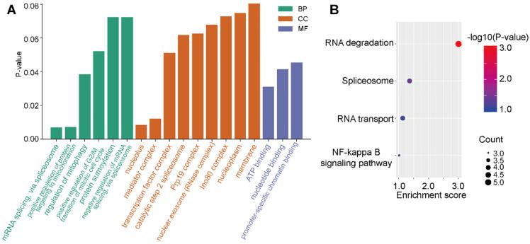 https://cdn.ncbi.nlm.nih.gov/pmc/blobs/9a0b/7890309/99a33ace0e99/jcav12p1792g006.jpg