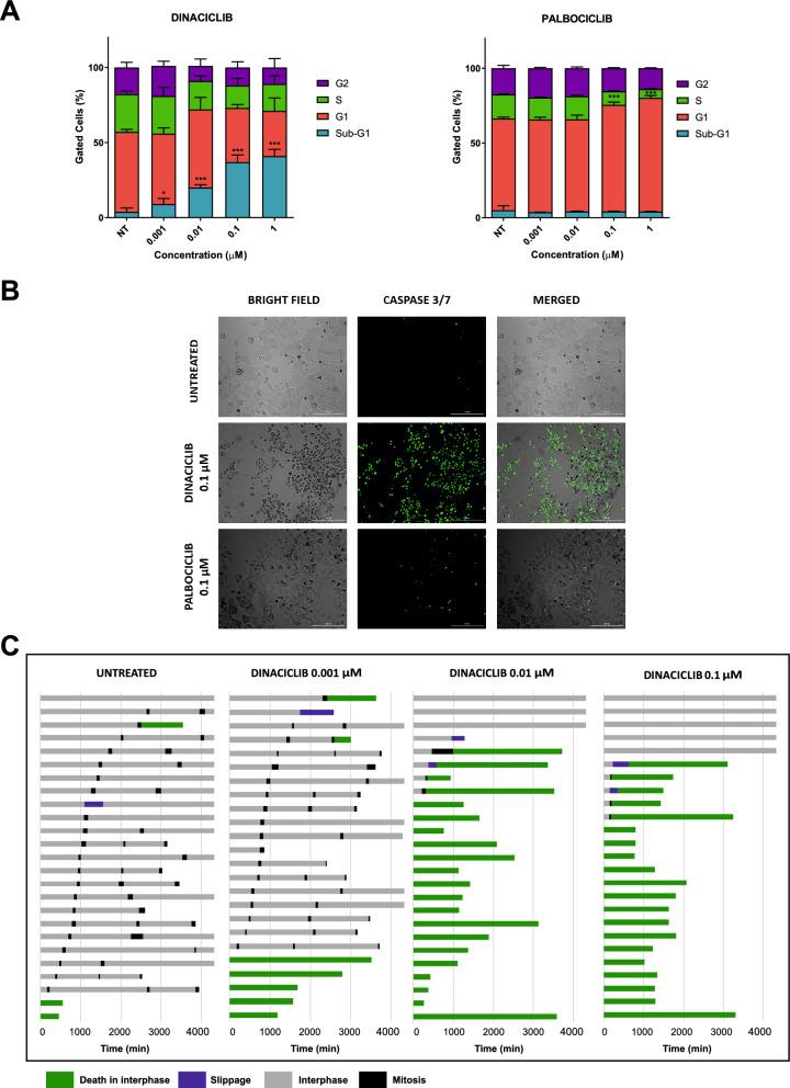 https://cdn.ncbi.nlm.nih.gov/pmc/blobs/9a20/7940474/5fde83ada002/41598_2021_84082_Fig3_HTML.jpg
