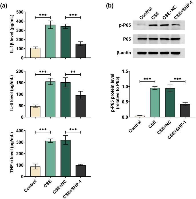 https://cdn.ncbi.nlm.nih.gov/pmc/blobs/9a23/11292789/7524bc483a01/j_med-2024-0991-fig004.jpg