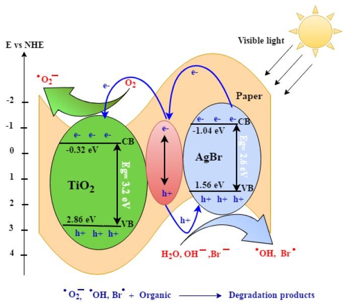 https://cdn.ncbi.nlm.nih.gov/pmc/blobs/9a61/7153616/dc0cd7400ed0/nanomaterials-10-00470-sch001.jpg